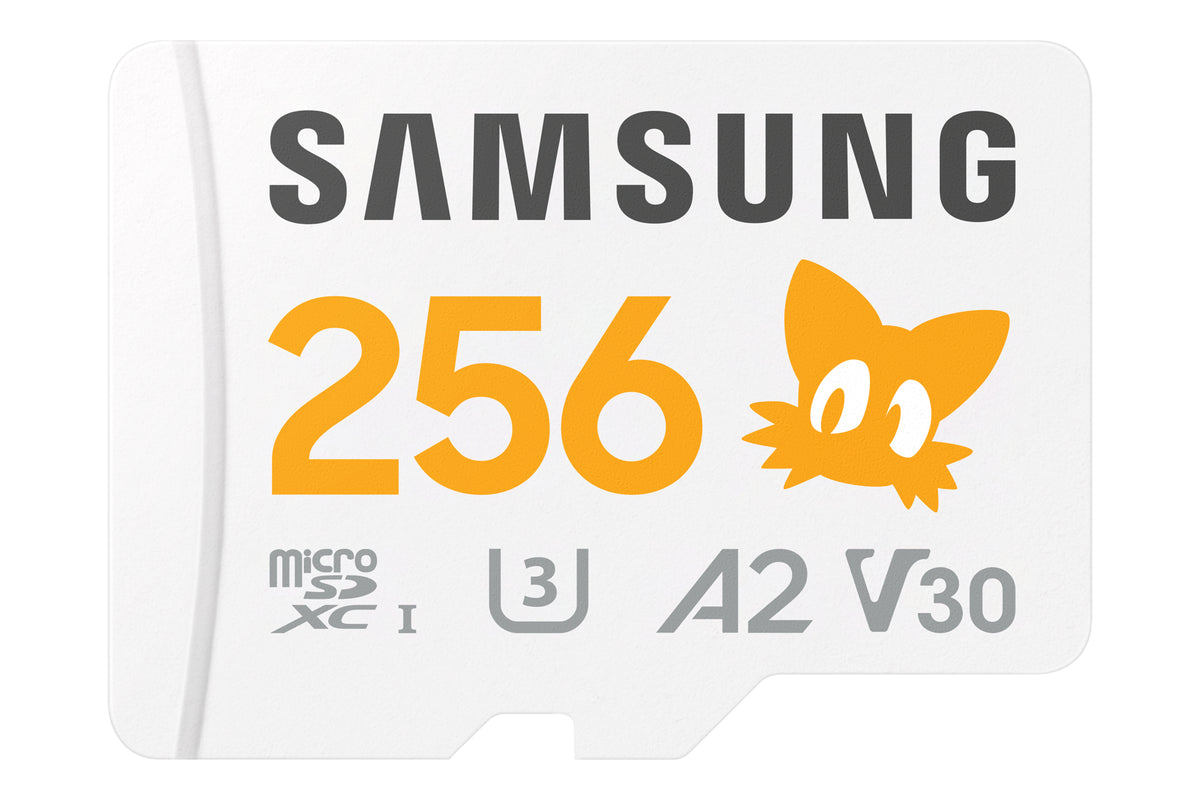 Samsung MB-MD256S