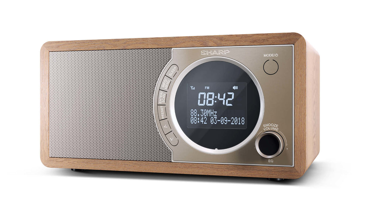 Sharp DR-450 Personal Digital Brun