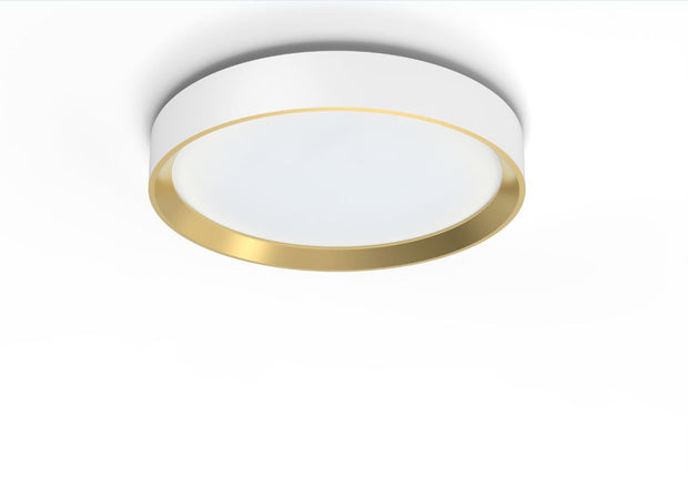 Philips Taklampa 24 W