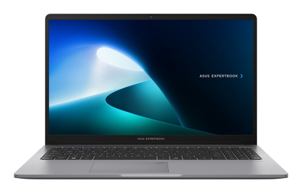 ASUS ExpertBook P1 P1503CVA-S72336 bärbar dator