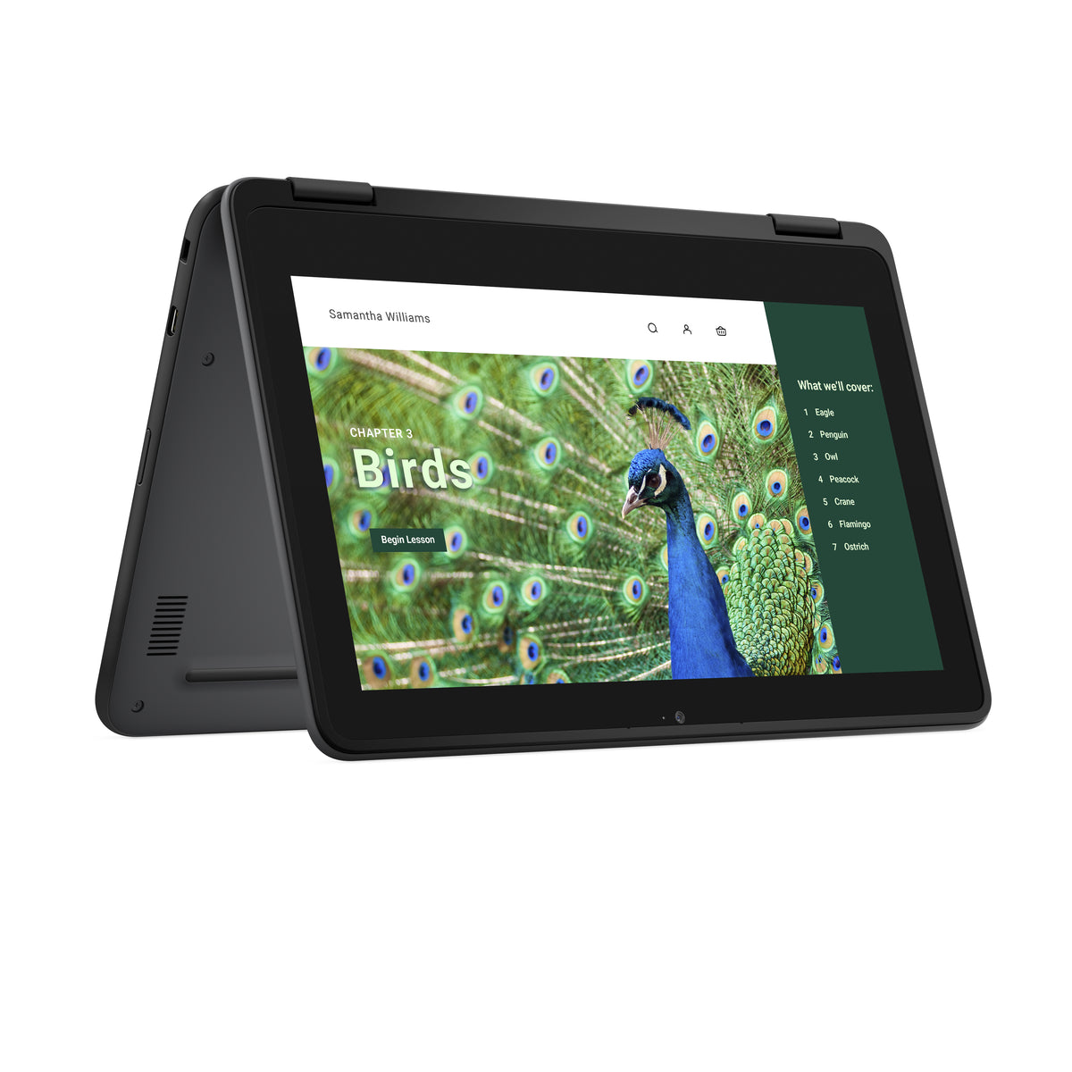 DELL Chromebook 3120 2-in-1 Intel N N100 - 11.6" - 4GB RAM