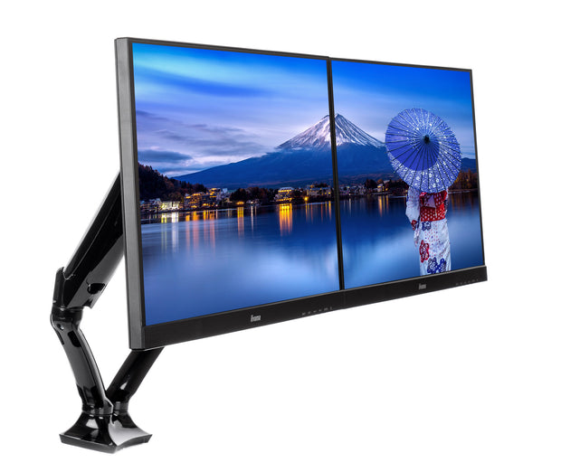 iiyama DS3002C-B1 fäste och ställ till bildskärm