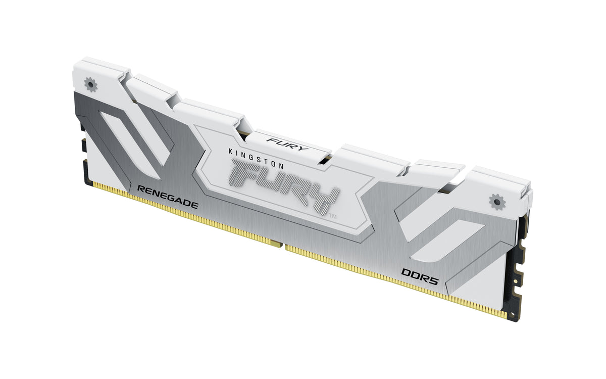 Kingston Technology FURY Renegade RAM-minnen