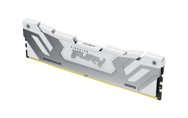 Kingston Technology FURY Renegade RAM-minnen