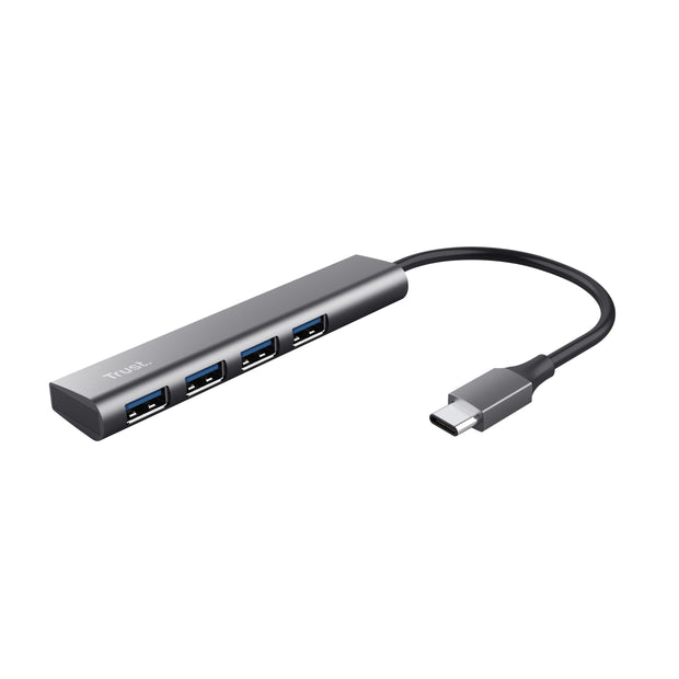 Trust Halyx USB 3.2 Gen 1 (3.1 Gen 1) Type-A 5 Mbit/s Grå