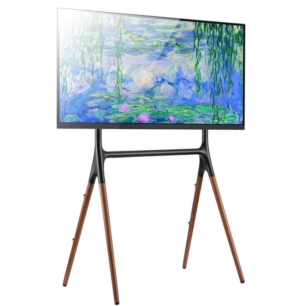 Techly ICA-TR19 tv-fäste