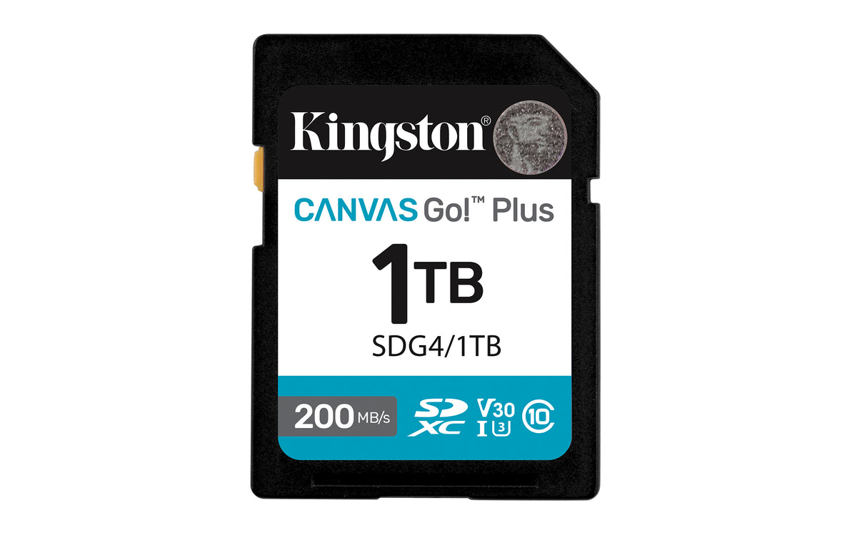Kingston Technology Canvas Go! Plus