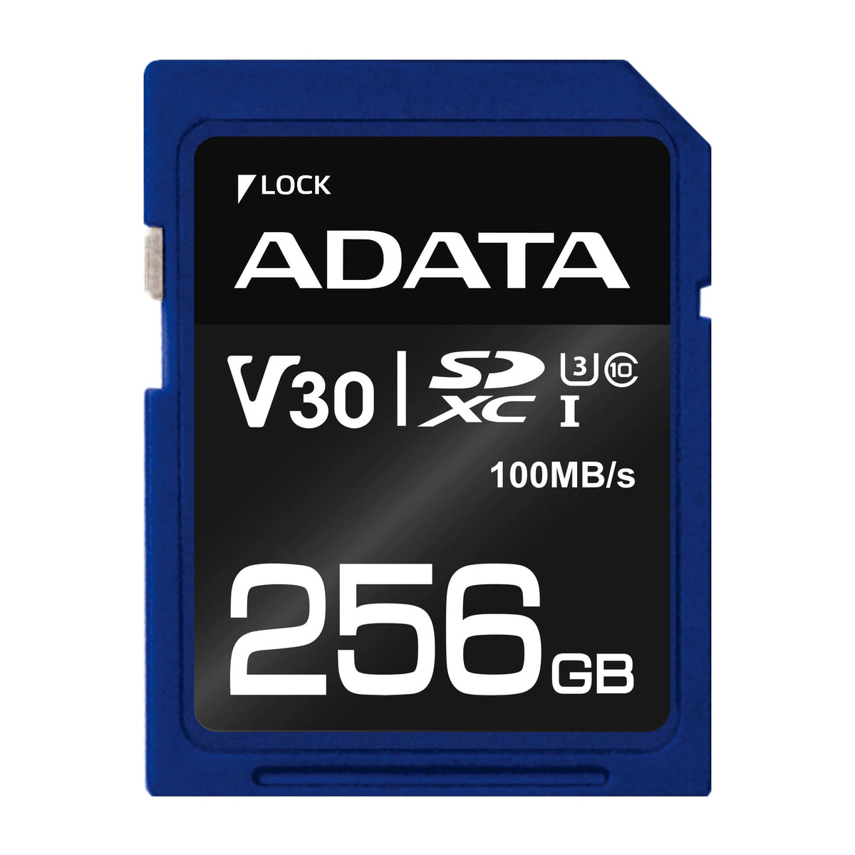 ADATA ASDX256GUI3V30S-R flashminne