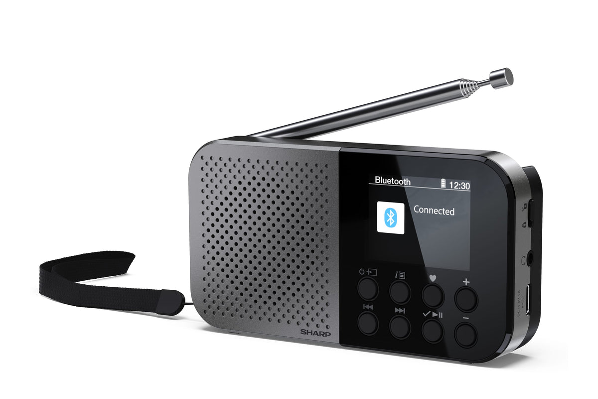 Sharp DR-P520 Personal Digital Grå