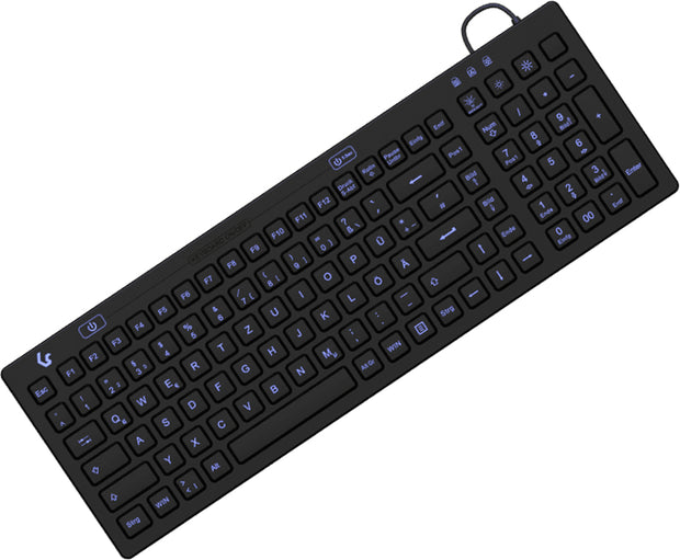 KeySonic KSK-6031INEL-B (DE) tangentbord Industriell USB QWERTZ tyska Svart
