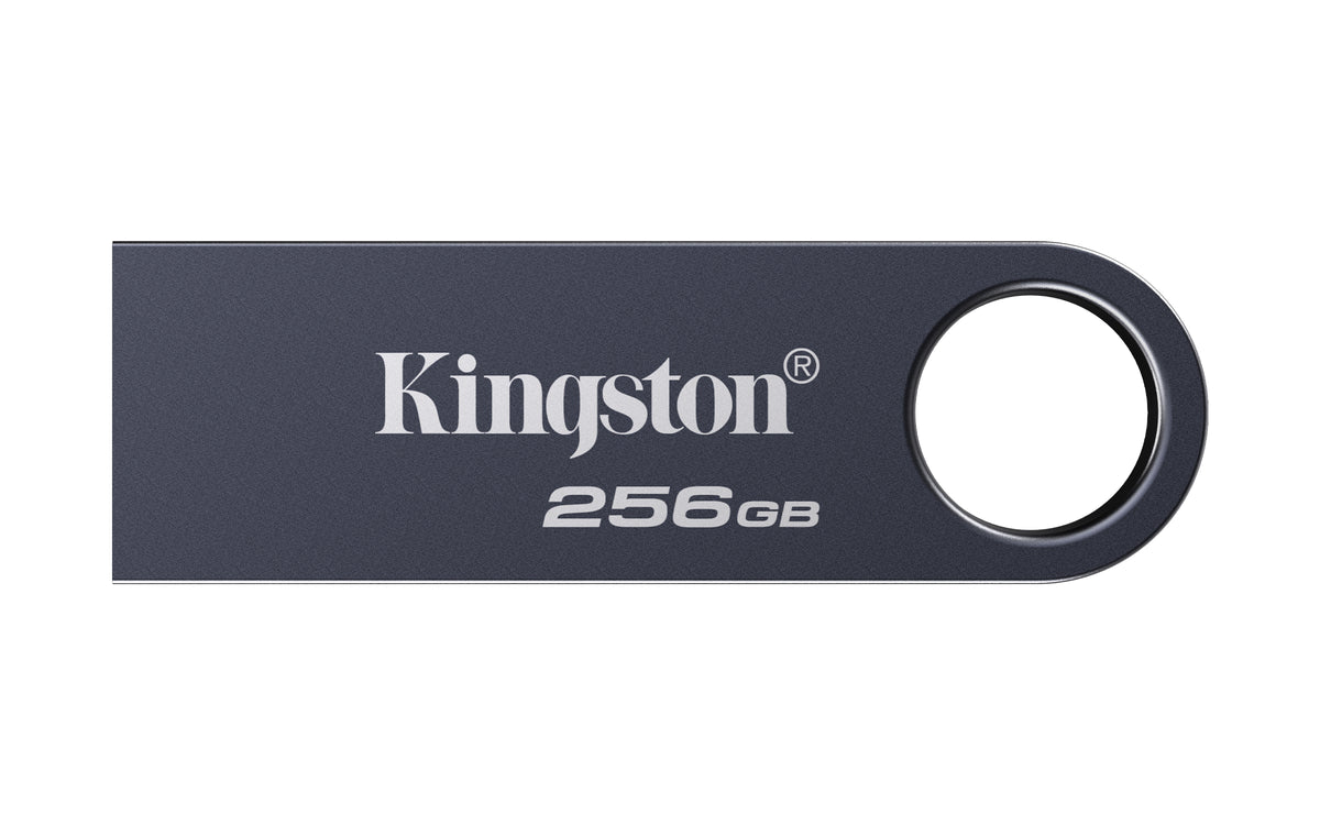 Kingston Technology DataTraveler SE9 G3 USB-sticka