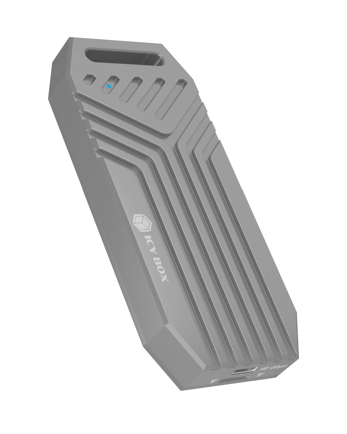 ICY BOX IB-1919M-C42 SSD-inkapsling Silver M.2