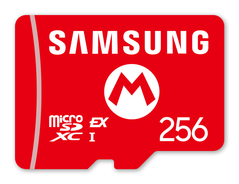 Nintendo 10016156 flashminne