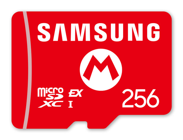 Nintendo 10016156 flashminne
