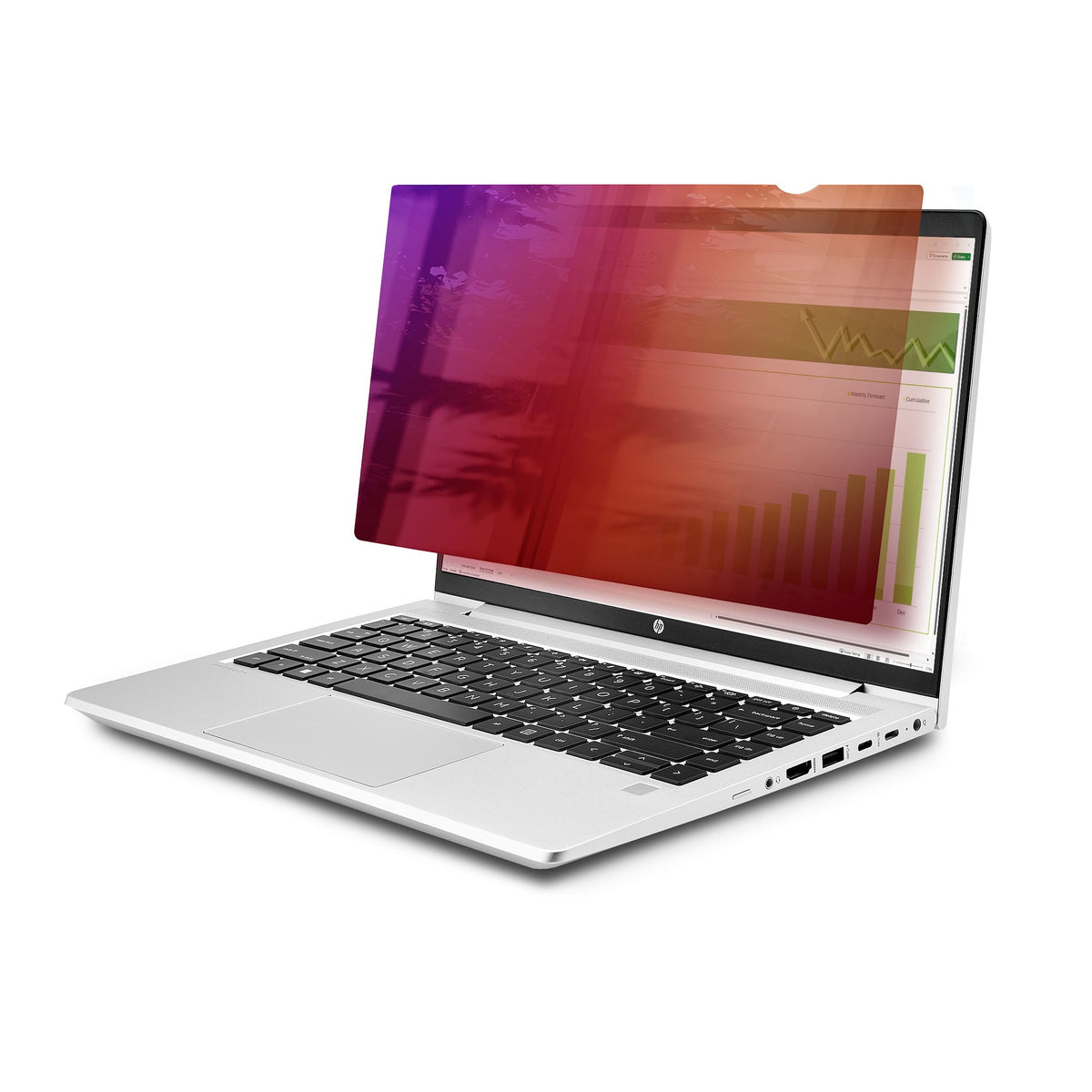 StarTech.com 14G-PRIVACY-SCREEN sekretessfilter för skärmar