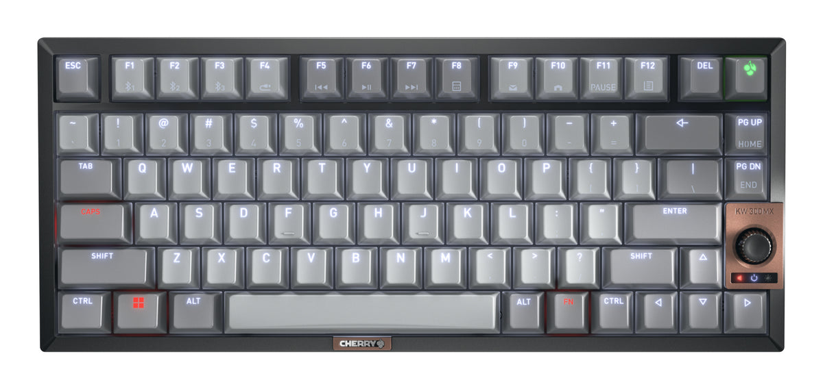 CHERRY KW 300 MX tangentbord Hem USB +