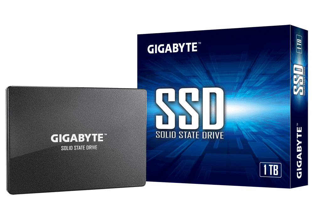 GIGABYTE GP-GSTFS31100TNTD