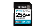 Kingston Technology Canvas Go! Plus