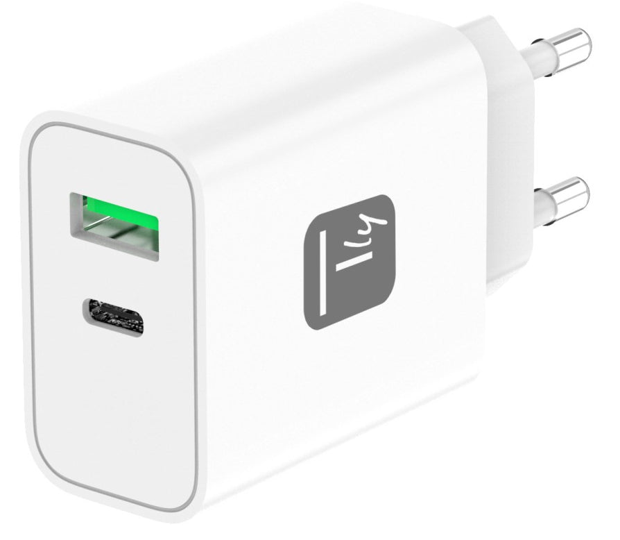Techly IPW-USB-30WACG mobilladdare Universal Vit AC Snabb laddning inomhus