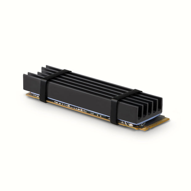 Axagon CLR-M2L10 kylsystem för dator M.2 NVMe SSD