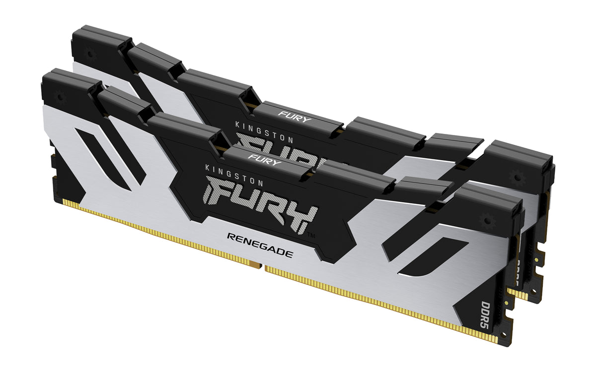 Kingston Technology FURY Renegade RAM-minnen
