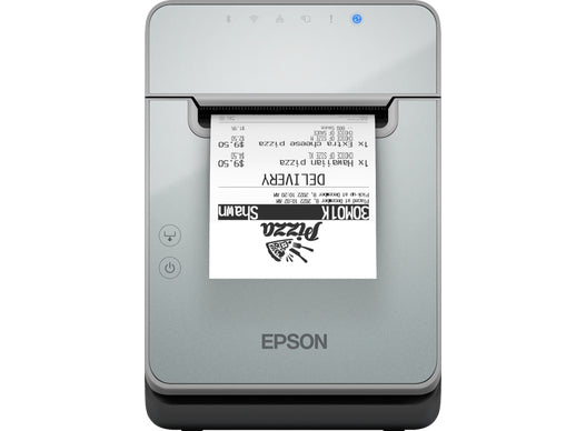 Epson TM-L100 (103): USB