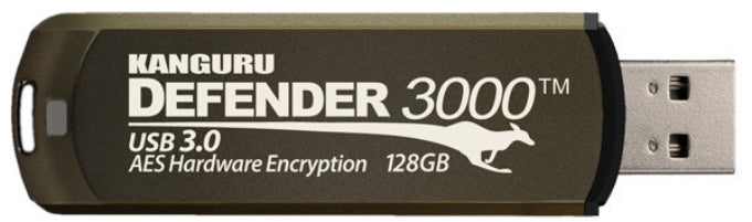 iStorage Kanguru Defender 3000 USB-sticka