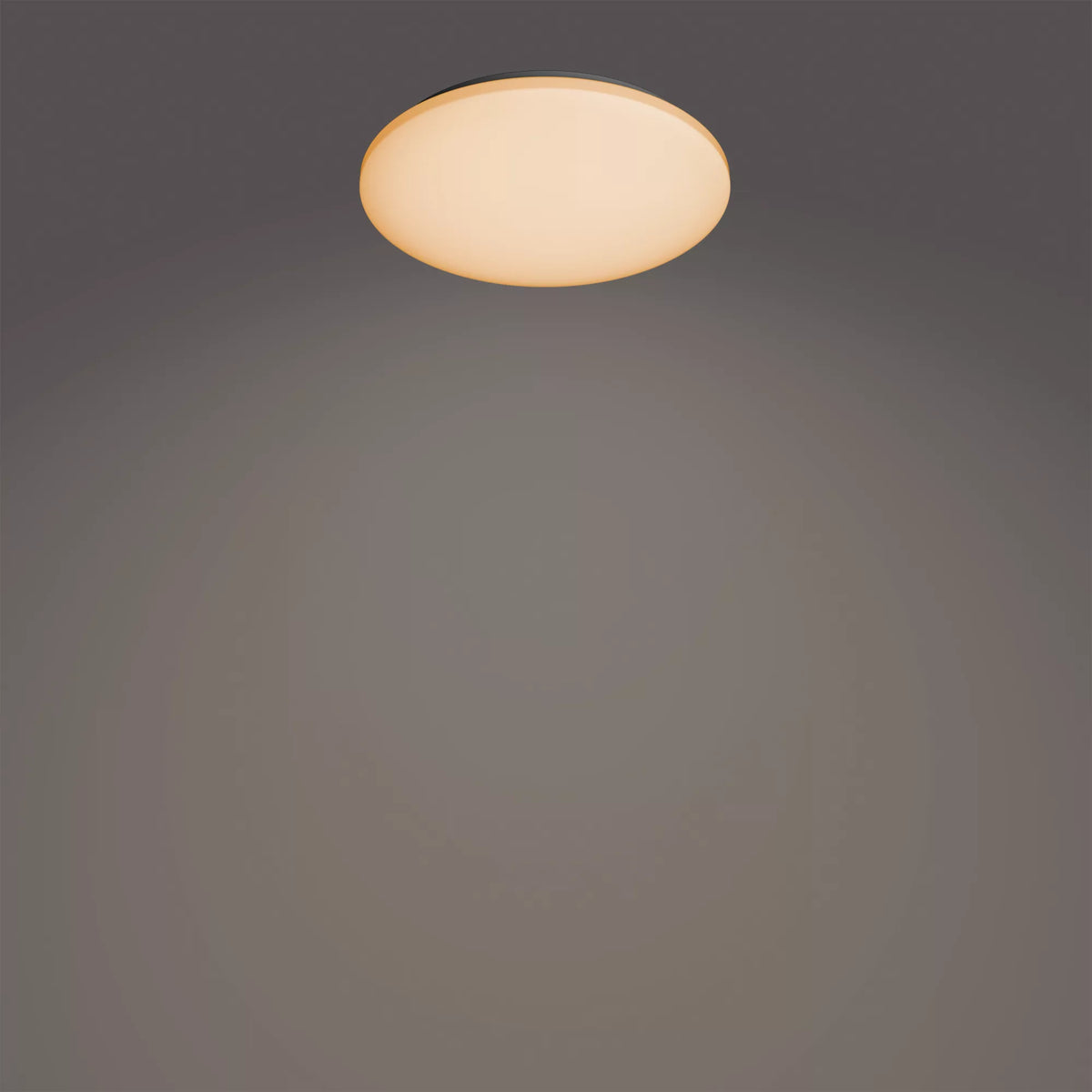 Philips Funktionell Izso taklampa 40 W