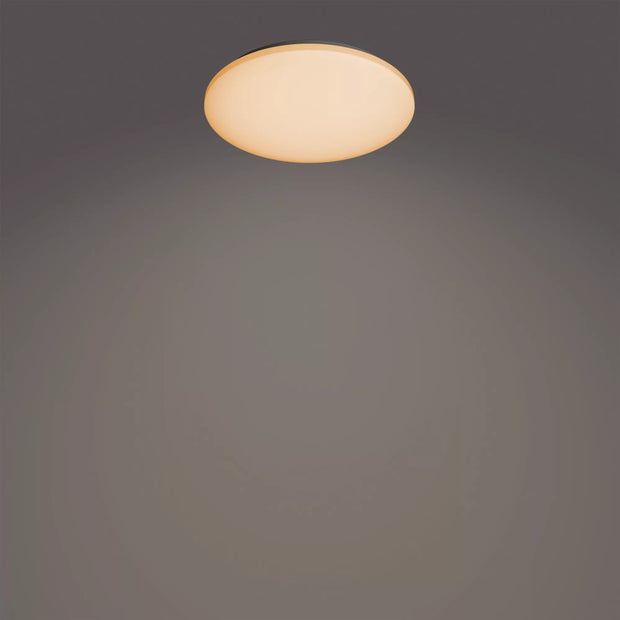 Philips Funktionell Izso taklampa 40 W