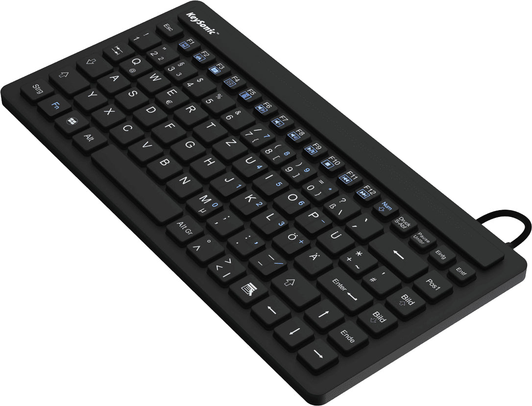 KeySonic KSK-3230IN (US) tangentbord Industriell USB QWERTY Engelska (USA) Svart
