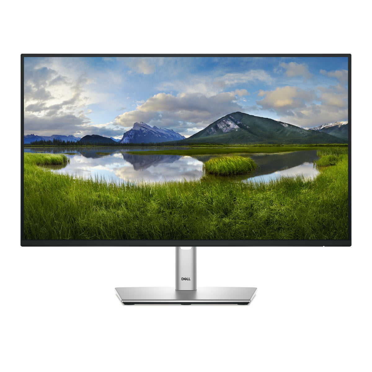 DELL Pro Plus P2425HE - 23.8" - FHD