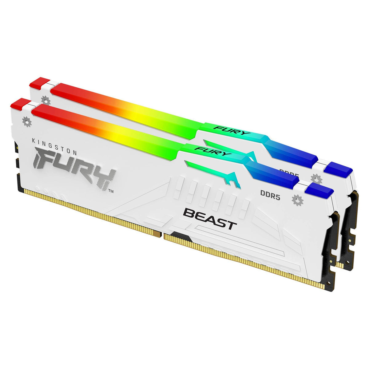 Kingston Technology FURY Beast RGB RAM-minnen