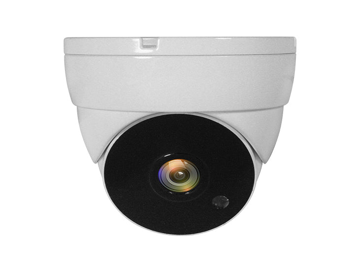 LevelOne ACS-5302 bevakningskameror Kupol-formad CCTV övervakningskamera Inomhus & utomhus Tak