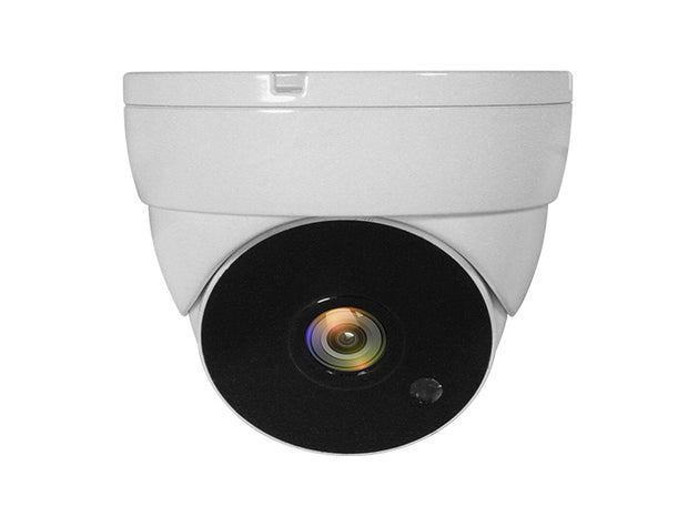 LevelOne ACS-5302 bevakningskameror Kupol-formad CCTV övervakningskamera Inomhus & utomhus Tak