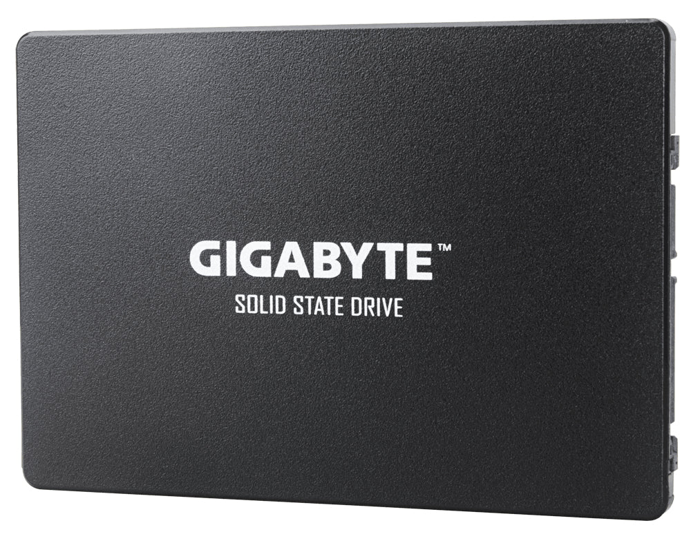 GIGABYTE GP-GSTFS31480GNTD