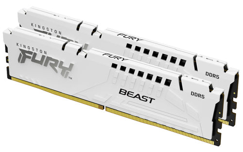 Kingston Technology FURY Beast RAM-minnen