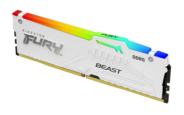 Kingston Technology FURY Beast RGB RAM-minnen