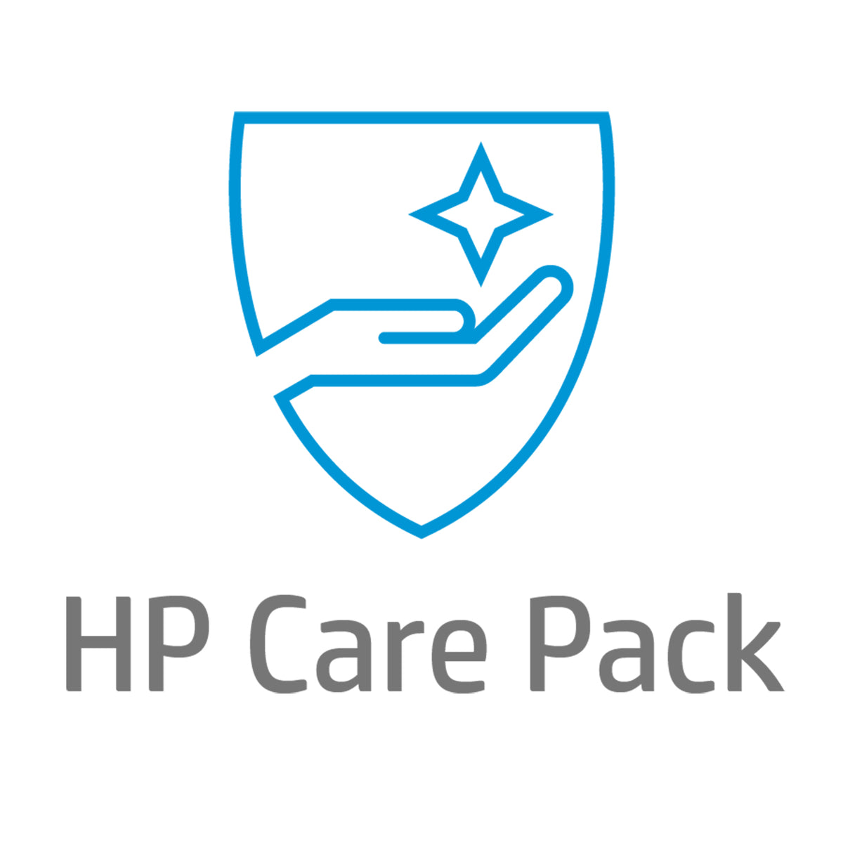 HP 3y Return to Depot Hardware 3 År