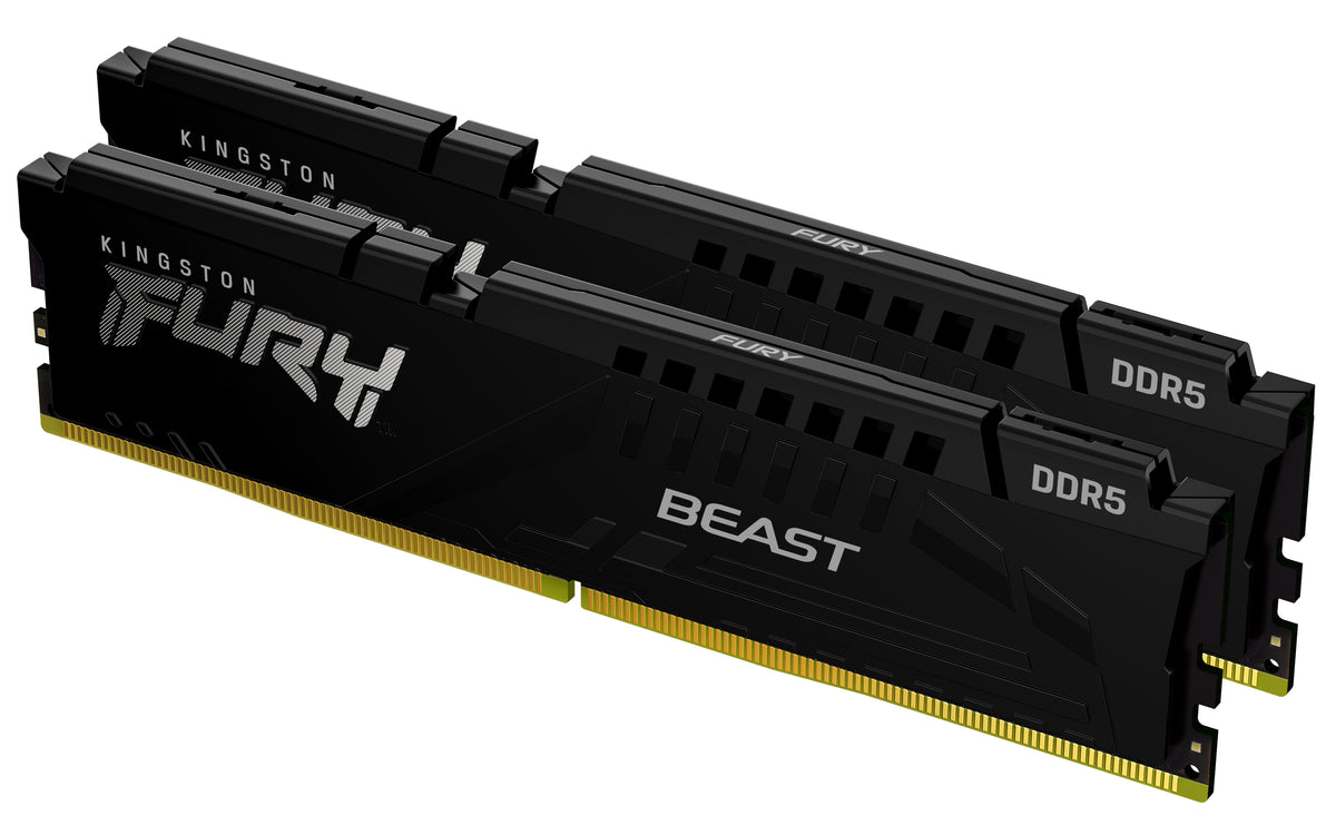 Kingston Technology FURY Beast RAM-minnen