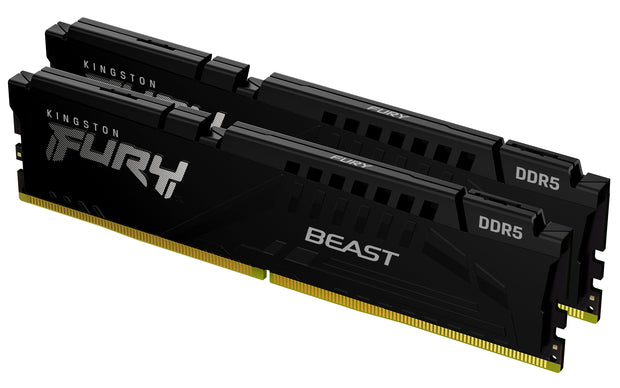 Kingston Technology FURY Beast RAM-minnen