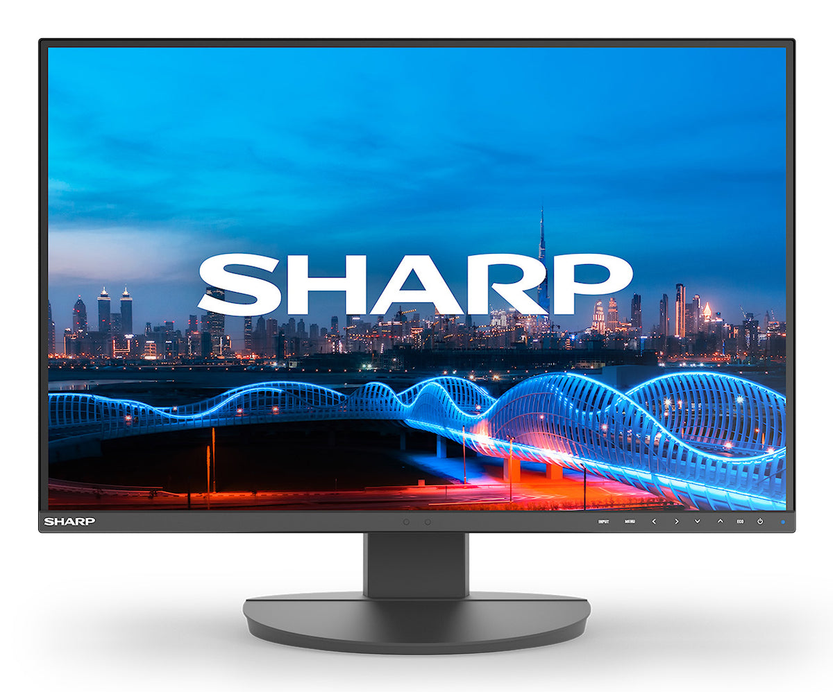 Sharp MultiSync EA241W