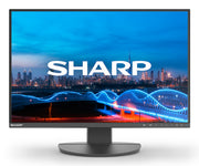 Sharp MultiSync EA241W