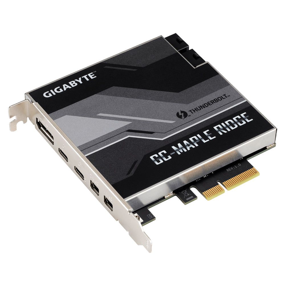 GIGABYTE GC-MAPLE RIDGE nätverkskort/adapters Intern DisplayPort