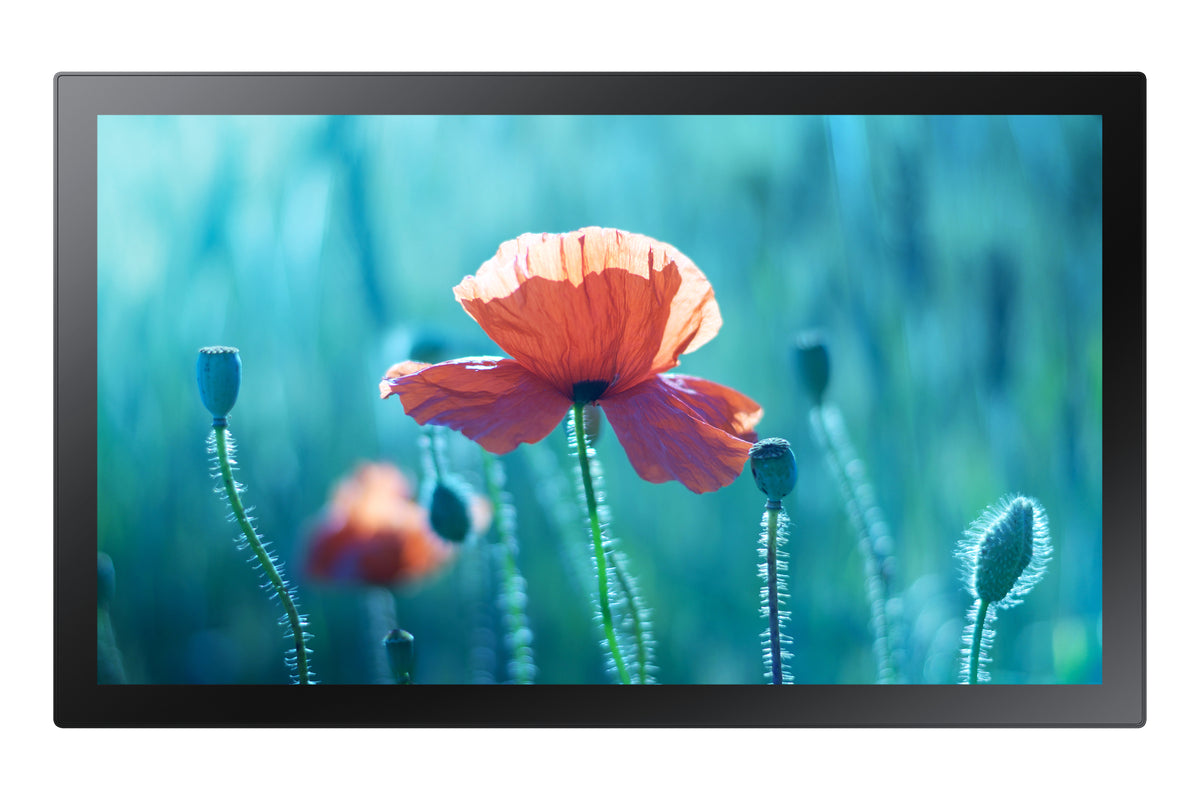 Samsung QB13R-TM Interaktiv plattskärm