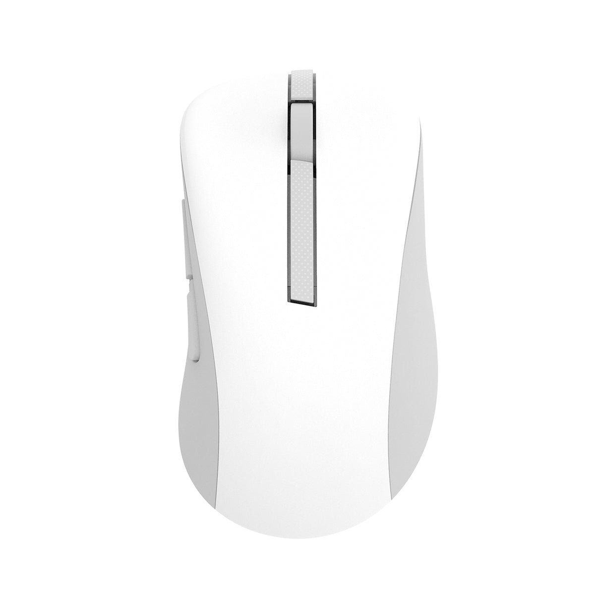 ASUS Wireless Mouse MD102 datormöss Universal högerhand Trådlös RF +