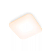 Philips Funktionell Mauve taklampa 17 W kvadratisk