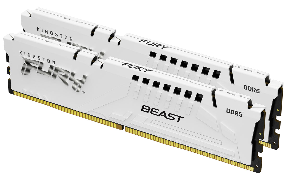 Kingston Technology FURY Beast RAM-minnen