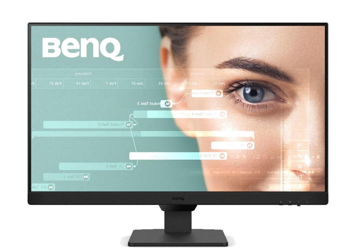 BenQ GW2490