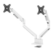 Neomounts DS70-250WH2 fäste och ställ till bildskärm