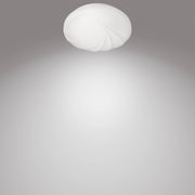 Philips Funktionell Shore taklampa 17 W